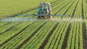 Imagem da matéria: Blockchain Revolucionará a Cadeia de Suprimentos Agrícola e de Alimentos