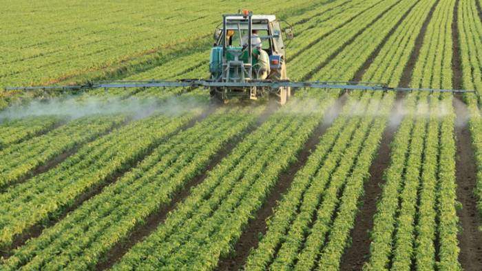 Imagem da matéria: Blockchain Revolucionará a Cadeia de Suprimentos Agrícola e de Alimentos