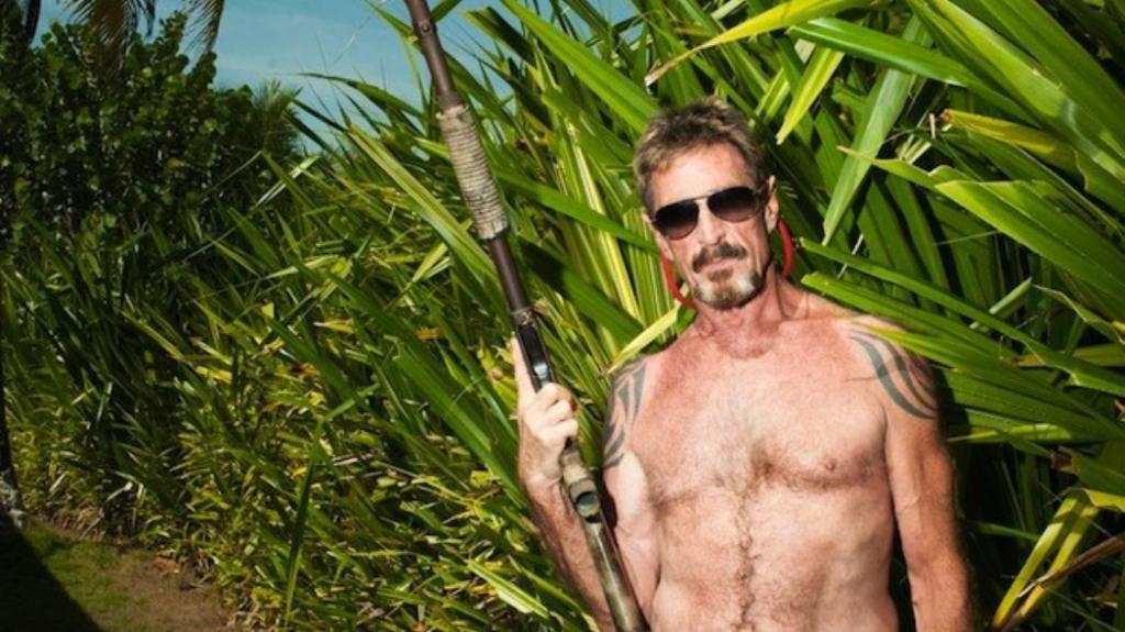 Imagem da matéria: Bitcoin Volta a Subir e John McAfee Reafirma sua Previsão de US$ 1 Milhão até 2020