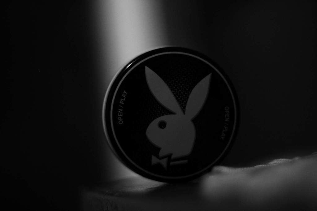 Imagem da matéria: Playboy TV Vai Aceitar Pagamentos Com Criptomoedas