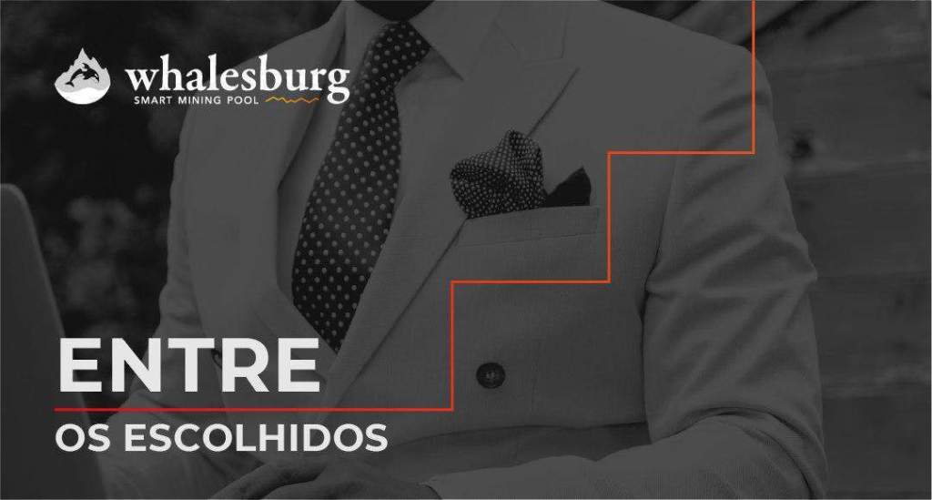 Imagem da matéria: Plataforma de Mineração de Whalesburg Desperta Interesse na Comunidade Crypto