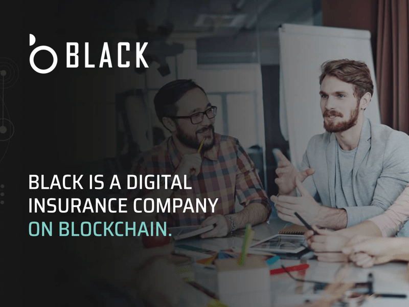 Imagem da matéria: Black Insurance, Provedor de Seguro Digital no Blockchain, Chama Professor Alex Norta como Assessor Científico