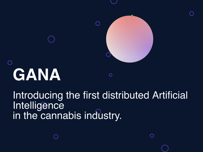 Imagem da matéria: GANA Technologies Completa Venda Privada dos seus Tokens com Sucesso e se Prepara para Venda Pública