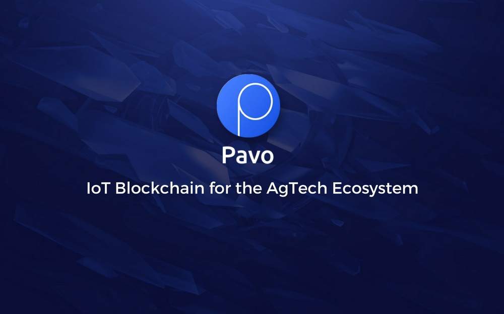 Imagem da matéria: Pavo Mostra Instalações na Califórnia de sua Solução de Blockchain IoT para Agricultura