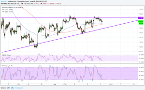 Imagem da matéria: Análise Técnica Bitcoin 08/06/18