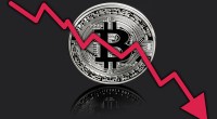 Imagem da matéria: Primeiro CEO do Paypal acredita que bitcoin continuará em queda