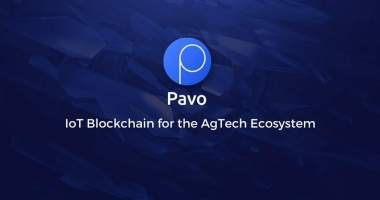 Imagem da matéria: Pavocoin vai aos Emirados Árabes Unidos para participar do Dubai Blockchain Summit em 9 de agosto