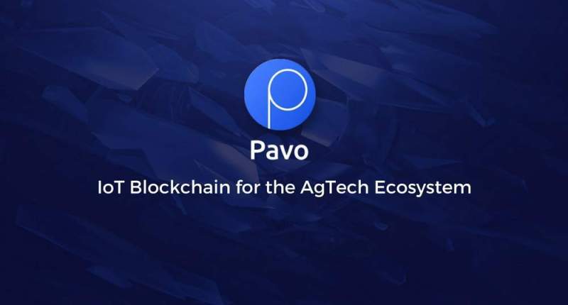 Imagem da matéria: Pavocoin vai aos Emirados Árabes Unidos para participar do Dubai Blockchain Summit em 9 de agosto