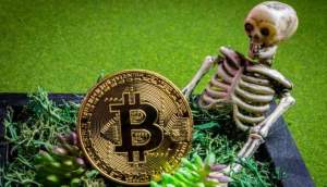 Imagem da matéria: “Vejo o Bitcoin como um zumbi andando”, diz presidente de gestora de investimentos dos EUA