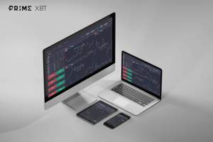 Imagem da matéria: PrimeXBT se torna global e lança programa de embaixadores no Brasil