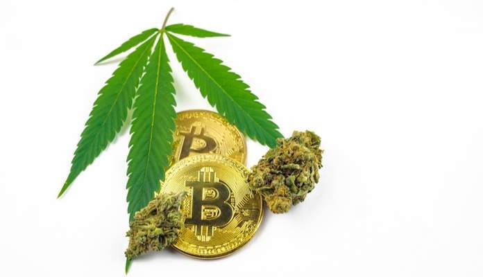 Imagem da matéria: Traficante de maconha processa polícia pela apreensão de 226 bitcoins em 2013