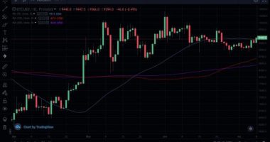 Imagem da matéria: Hash rate do bitcoin atinge maior alta de todos os tempos: BTC Pode Atingir US$500.000