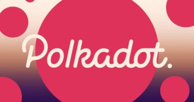 Imagem da matéria: O que é Polkadot, a criptomoeda que apareceu do nada e está entre as maiores