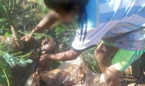 Imagem da matéria: Vídeo: argentinos desenterram 1,2 mil caixas de frango estragado para comer