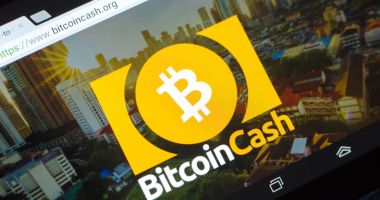 Imagem da matéria: Por que o preço da criptomoeda Bitcoin Cash (BCH) está disparando 114% na semana