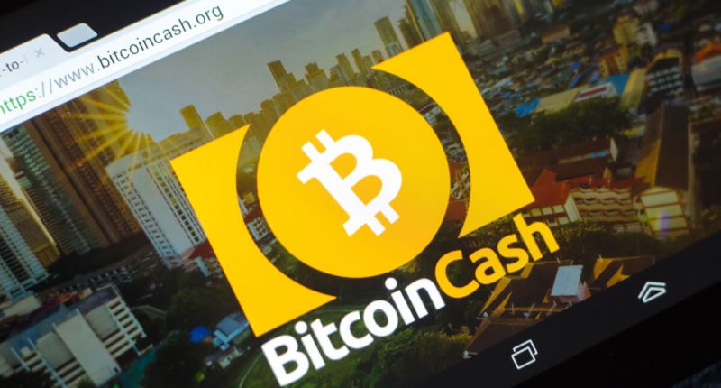 Imagem da matéria: Por que o preço da criptomoeda Bitcoin Cash (BCH) está disparando 114% na semana