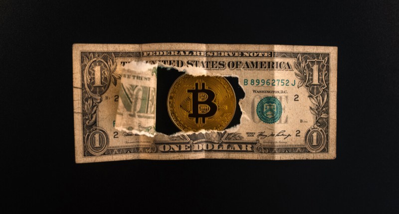 Imagem da matéria: A inflação do dólar altera o novo recorde histórico do bitcoin?