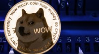 Imagem da matéria: Elon Musk diz que Dogecoin aparecerá na televisão e preço da criptomoeda dispara 16%