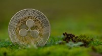 Imagem da matéria: Ripple divulga planos para neutralizar pegada de carbono de XRP até 2030