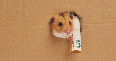 Imagem da matéria: Hamster trader vira shitcoin e dispara 188% após piada de Elon Musk