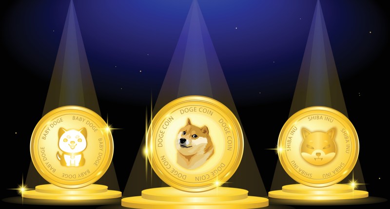 Imagem da matéria: Devo investir em bitcoin e ethereum ou em criptomoedas como Shiba Inu, Doge Coin, Baby Doge?