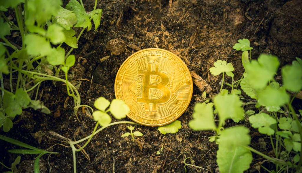 Imagem da matéria: Município do Rio de Janeiro diminui impostos de criptomoedas “verdes”