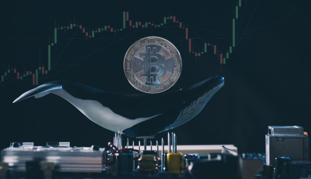 Imagem da matéria: Baleia movimenta 15 mil bitcoin para carteira desconhecida