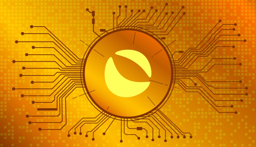 Imagem da matéria: Especialista brasileiro analisa se ainda vale investir em criptomoeda que subiu 900% em 2021