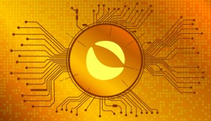 Imagem da matéria: Especialista brasileiro analisa se ainda vale investir em criptomoeda que subiu 900% em 2021