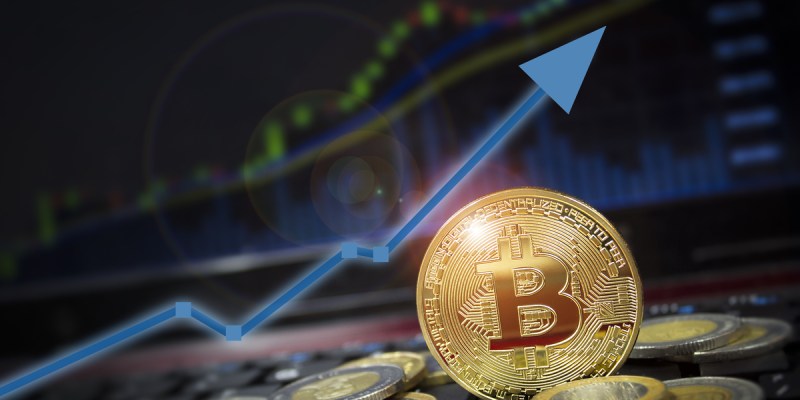 “Estamos na fase final do ciclo de alta do Bitcoin”, diz Willy Woo