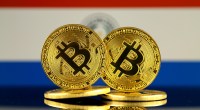 Imagem da matéria: Senado do Paraguai aprova projeto que regula criptomoedas e mineração