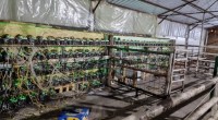 Imagem da matéria: Polícia de Kosovo confisca centenas de máquinas de mineração de bitcoin em meio a crise de energia