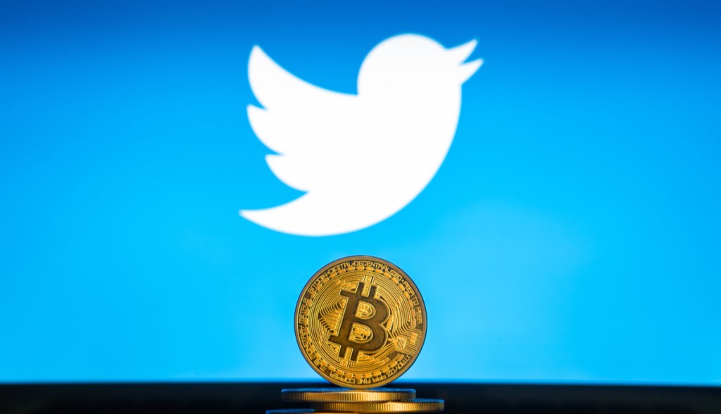 Imagem da matéria: A semana no CriptoTwitter: CryptoPhunks vs Bored Apes; Bukele defende sua Cidade do Bitcoin