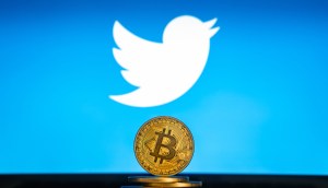 Imagem da matéria: A semana no CriptoTwitter: CryptoPhunks vs Bored Apes; Bukele defende sua Cidade do Bitcoin