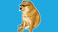 Imagem da matéria: Criador da Dogecoin detona outras meme coins: “não são inteligentes nem divertidas”