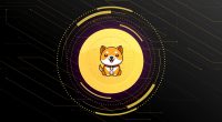 Imagem da matéria: Corretora Huobi lista Baby Dogecoin (Babydoge) e criptomoeda meme sobe mais de 20%