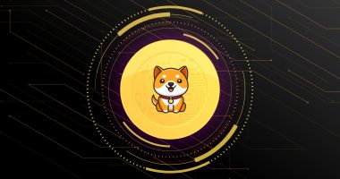 Imagem da matéria: Corretora Huobi lista Baby Dogecoin (Babydoge) e criptomoeda meme sobe mais de 20%