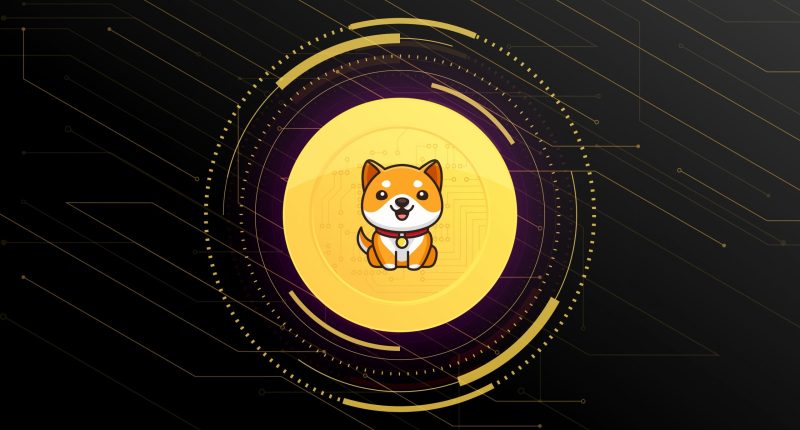 Imagem da matéria: Corretora Huobi lista Baby Dogecoin (Babydoge) e criptomoeda meme sobe mais de 20%