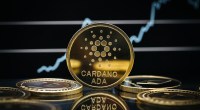 Imagem da matéria: Manhã cripto: Cardano (ADA) e Dogecoin (DOGE) decolam, Goldman Sachs empolga mercado e BlackRock prevê uso de moedas digitais