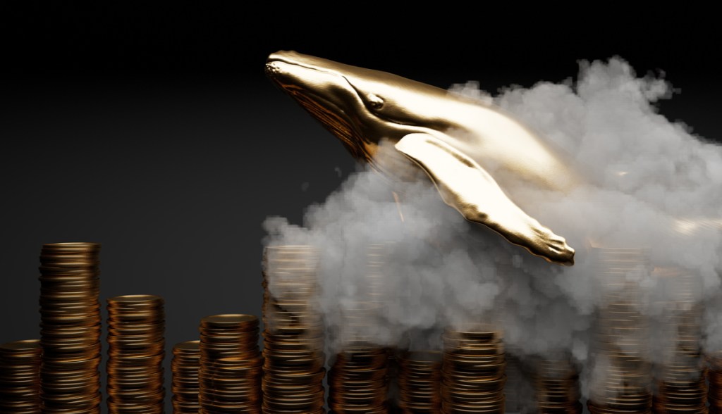 Imagem da matéria: Como a comunidade de uma criptomoeda se uniu para tirar US$ 30 milhões de uma baleia