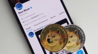 Imagem da matéria: Elon Musk anuncia que SpaceX vai aceitar dogecoin e preço do token dispara