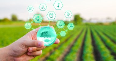 Imagem da matéria: O potencial da tecnologia blockchain para o agronegócio