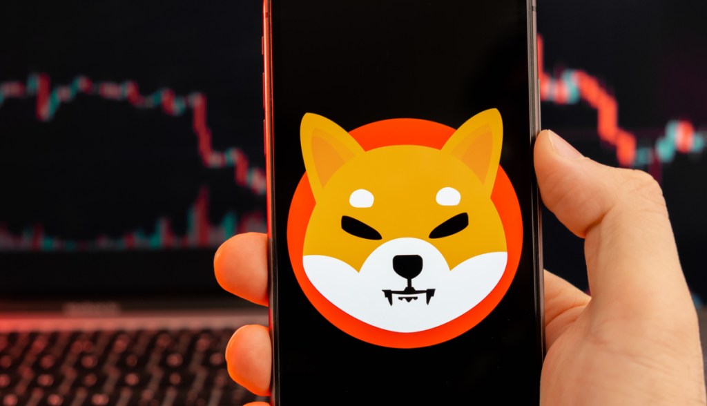 Imagem da matéria: Shiba Inu (SHIB) agoniza e atinge menor preço em sete meses