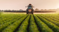 Imagem da matéria: Embrapa diz que blockchain é uma das bases para o futuro da agricultura brasileira