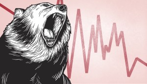 Desenho de urso com gráfico ao fundo