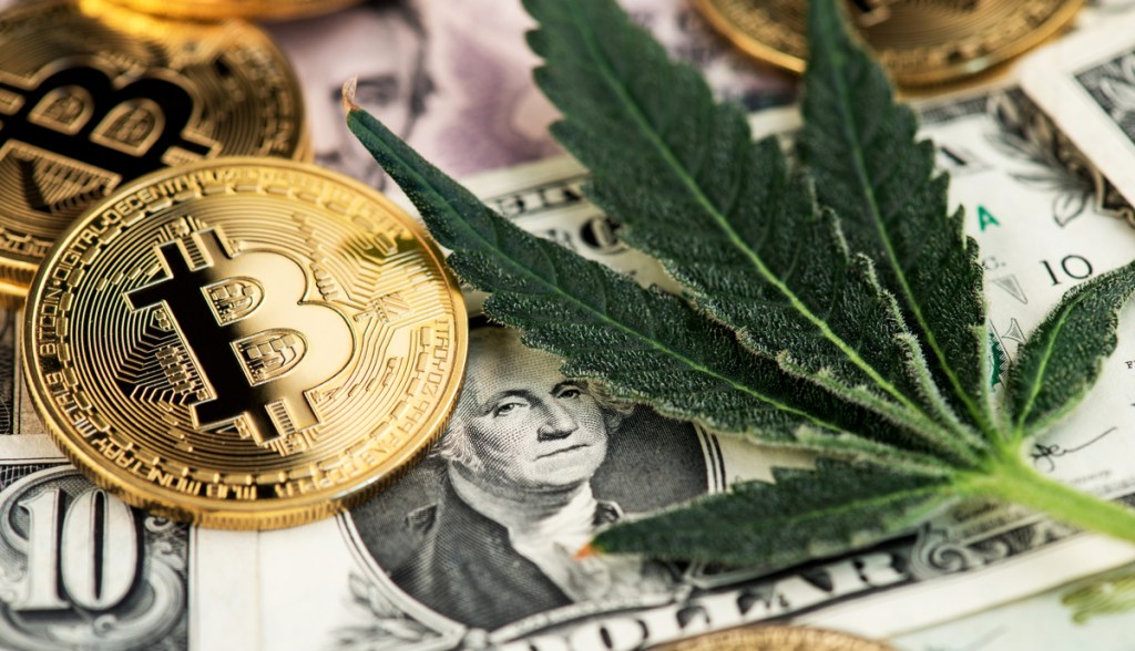 Imagem da matéria: Pai e filho são condenados por usar bitcoin para lavar dinheiro de esquema de venda de maconha