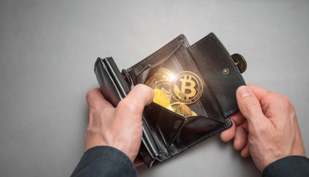 Carteira com criptomoedas