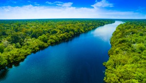 Imagem da matéria: Moss: Empresa de criptomoeda verde teve negócios com grileiro preso pela PF