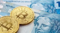 Moedas douradas de Bitcoin em cima de notas e cédulas de cem reais real