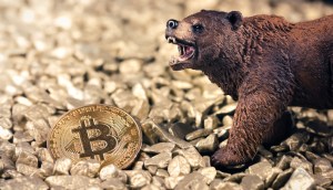 Urso marrom de brinquedo próximo a uma moeda dourada de Bitcoin (BTC), indicando um ciclo de baixa no mercado